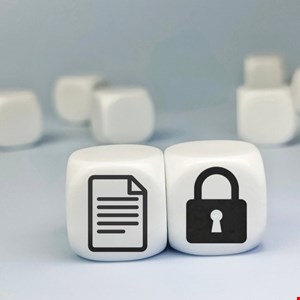 ICO Reprimands Criminal Records Office After 2023 Breach