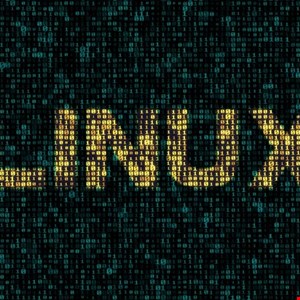 Linux Users Urged to Patch Critical Sudo CVE - Infosecurity Magazine