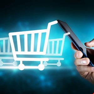 Black Friday: Significant Security Gaps in E-Commerce Web Apps