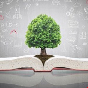 Learning Tree International Named First (ISC)² Global Premier Partner