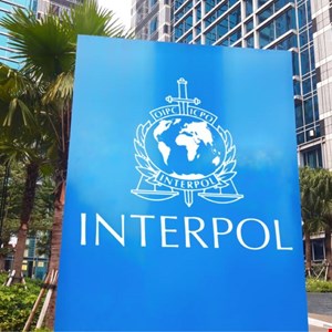 Interpol Initiates Comprehensive Cybercrime Operation in MENA Region