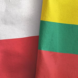 Lithuania and Poland Issue Cyber-Attack Warnings