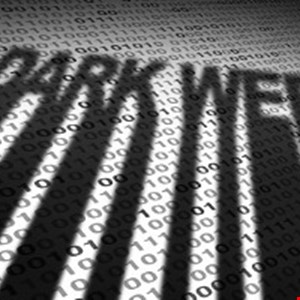 Wishbone Breach: 40 Million Records Leaked on Dark Web