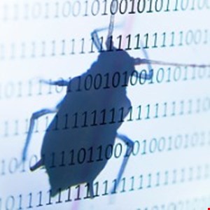 Crowdsourced Bug Bounty Programs: Security Gains Versus Potential ...