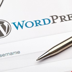 Two WordPress Plugin Bugs Expose Over One Million Sites - Infosecurity ...