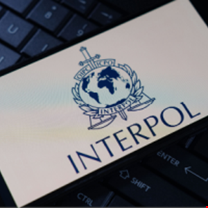 Interpol Busts Asian Sextortion Syndicate