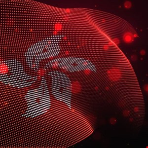 SquidLoader Malware Campaign Targets Hong Kong Financial Sector