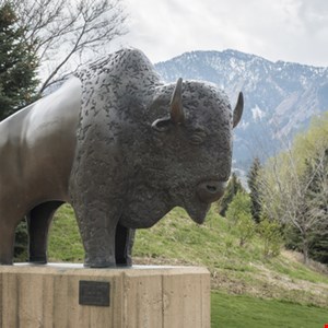 Data Breach at University of Colorado