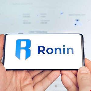 Ethical Hackers Steal and Return m to Ronin Network