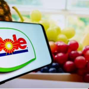 Irish Food Giant Dole Admits Employee Data Breach