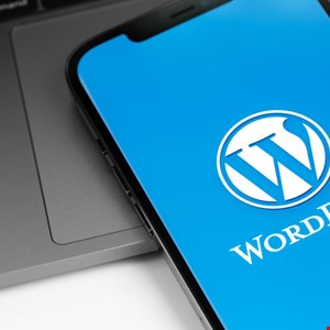 WordPress ASE Plugin Vulnerability Threatens Site Security