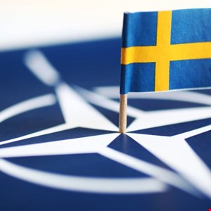 Hackers Target New NATO Member Sweden with Surge of DDoS Attacks