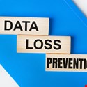 The Practical Executive's Guide to Data Loss Prevention 
