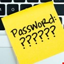 A Password-Less Future: Are Organizations Ready?