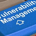 Vulnerability Values Fluctuate Between White, Grey and Black Hats