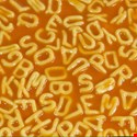 The Fly in Google’s Alphabet Soup