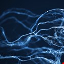 6 Important Questions About Anomaly Detection