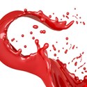 Contingency Planning for the Red Team
