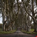 AI is Penning the Next Game of Thrones Book—and It's Magnificent