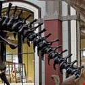 Interview Dave Mareels, SOC.OS and Chris Sleep, Natural History Museum