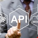 APIs: Risks, Potential and Security Solutions