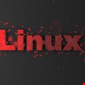 Linux Systemd Vulnerability Enables DNS Attacks