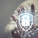 Trust Report: Measuring the Value of Security Amidst Uncertainty