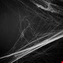 Trolling, Sexual Harassment and Murder Threats: The Dark Social Web