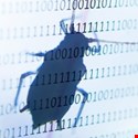 Crowdsourced Bug Bounty Programs: Security Gains Versus Potential Losses