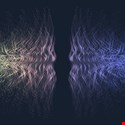 The Needle is Shifting on Post-Quantum Security – Here’s What You Need to Know