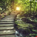 The Zero Trust Journey: How to Mitigate Cyber-Risk in the Post-Pandemic Era