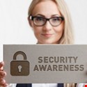 Changing Cybersecurity Behaviors in the Workplace: A Critique of the Evidence