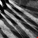 Shadow Brokers Taunt and Blackmail NSA