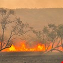 Aussie Bushfires Donation Site Hit by Magecart Thieves