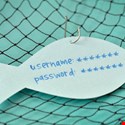 Silicon Valley VC Firm Phished