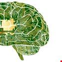 The Impact of Artificial Intelligence on Cyber-Resilience