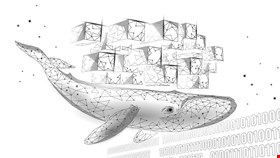Millions of Malicious Containers Found on Docker Hub - Infosecurity ...