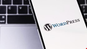 Critical LiteSpeed Cache Plugin Flaw Exposes WordPress Sites ...